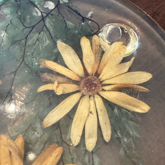 Vintage 50s lucite pressed flower coasters trivet set European antique home - Picture 12 of 14